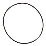 O-RING 3,0 X 120mm - APS121 COMET - 12100701