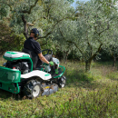 TRATTORINO FALCIATUTTO RM952 OREC